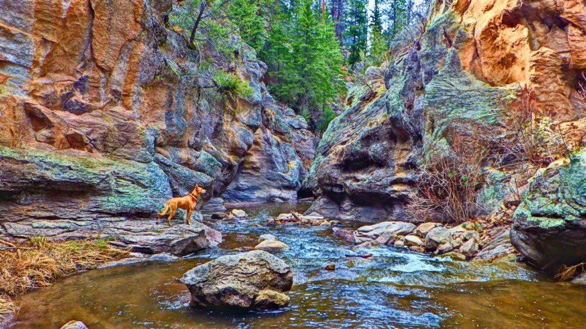 Hiking in the Jemez Falls Park