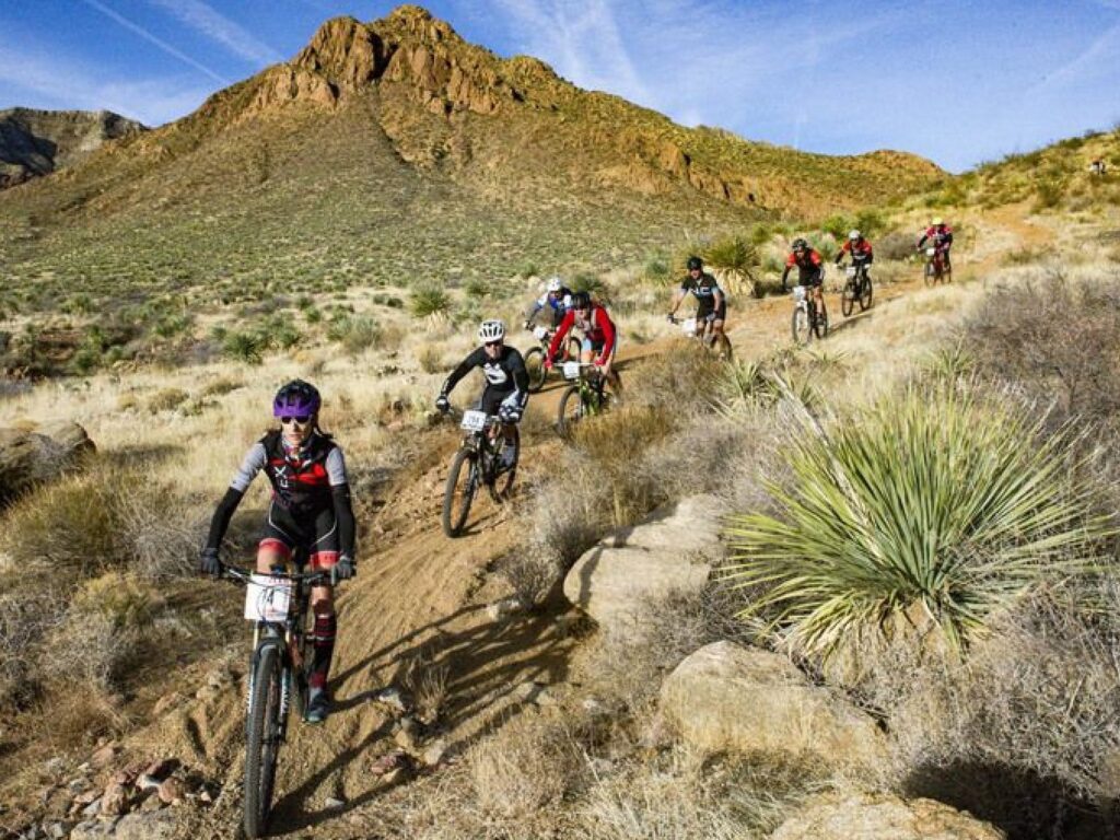 Mountain bikers riding in the sunshine at Lost Dog Nature Trailhead