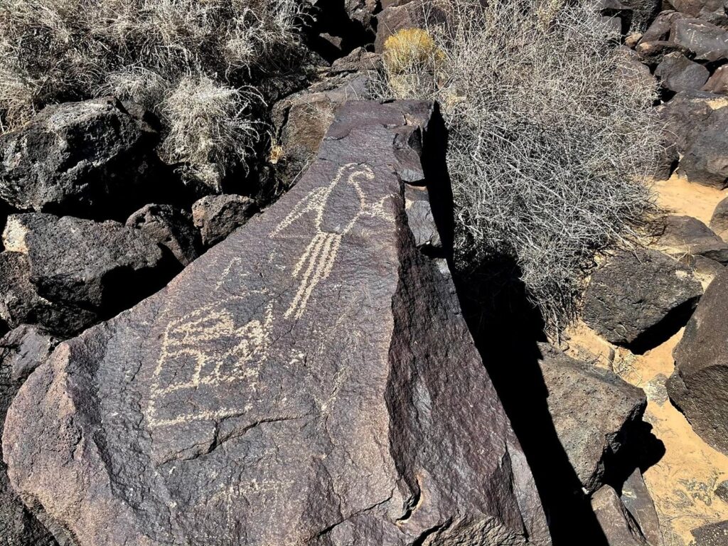 Petroglyph of a macaw seen along the Macaw Trail at Boca Negra Canyon