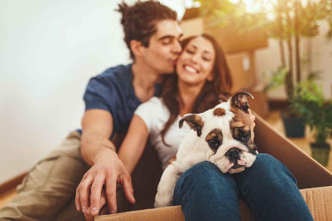 Happy couple with cute dog in a moving box.