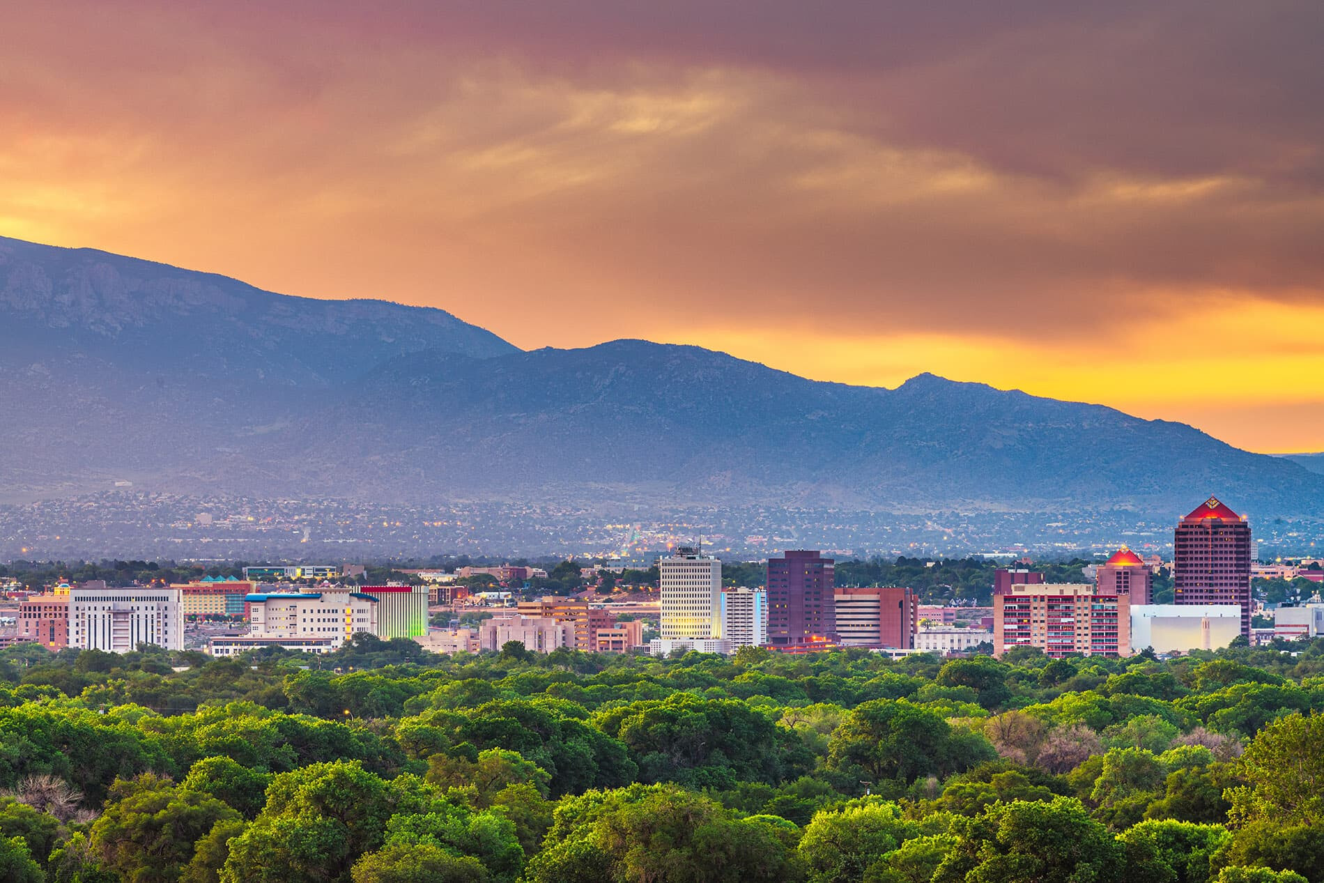 home for sale albuquerque